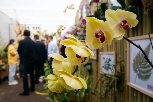 ���M(j��n)����ֲ��@������m��